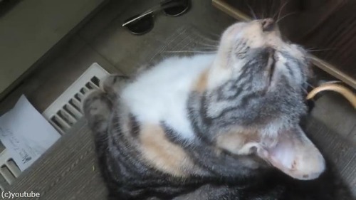 ǭ��¹�μ�ǥ�����������Ƥ�����04