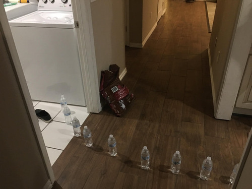 �������Τ�����������夬�ФƤ���01