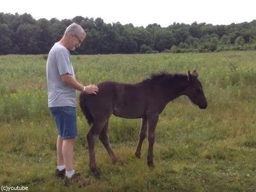 �����򥳥��祳���礷�Ƥۤ�������02