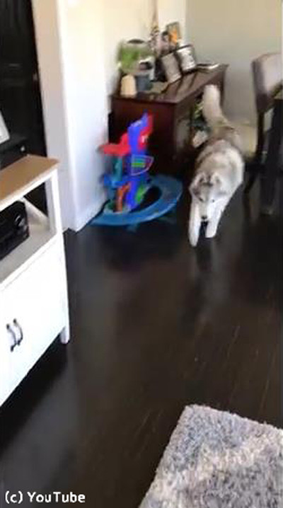 ����ͤ�Ż��˹Ԥ��������ʤ��ϥ�����01