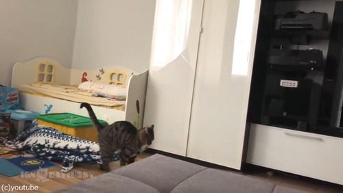 毛布泥棒の犯人03