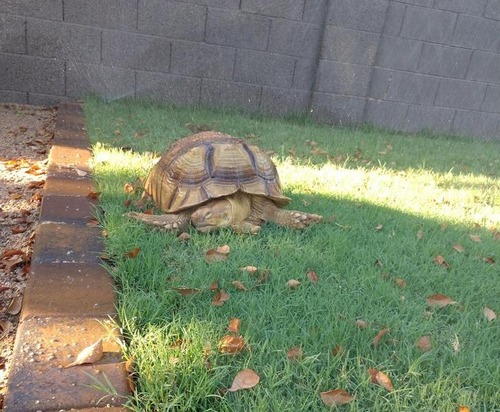 ���Υ����ѡ��ޥ�06