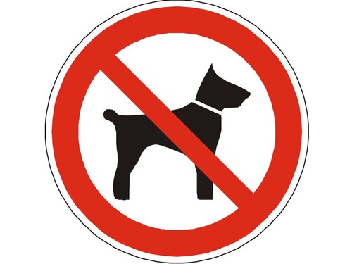 「犬禁止」のロゴにそっくりの犬が目の前にいるとき