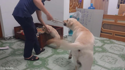 �Ҹ��򤷤������Ȥ����顢�Ƹ������03