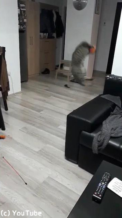 ����å��ܡ������ǭ02