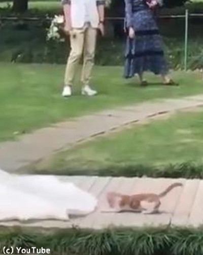 �뺧���˥��塼�Ȥʤ��Ҥ���03