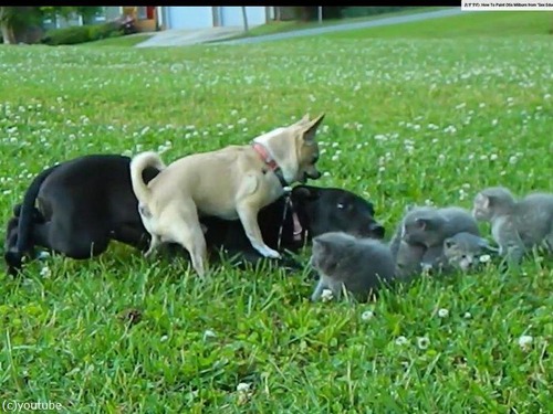 ͦ���ʥ���郎��ǭ����02