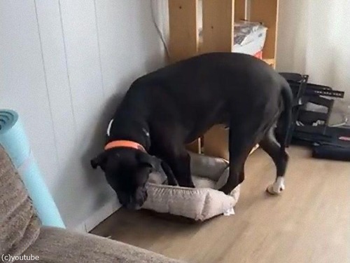 ���������ʥ٥åɤǲ���������ͳ01