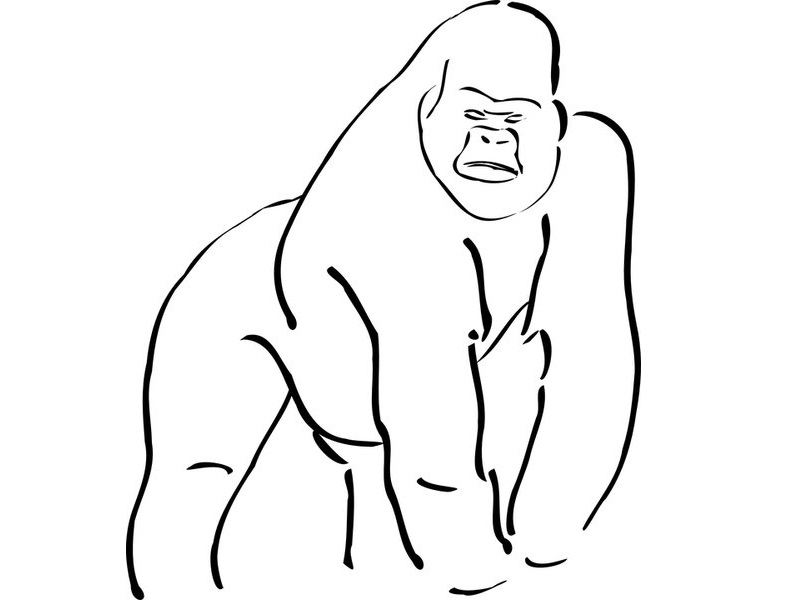 ゴリラの手が白くなると 人間の手にしか見えない らばq ゴリラの手が白くなると 人間の手にしか見えない らばq