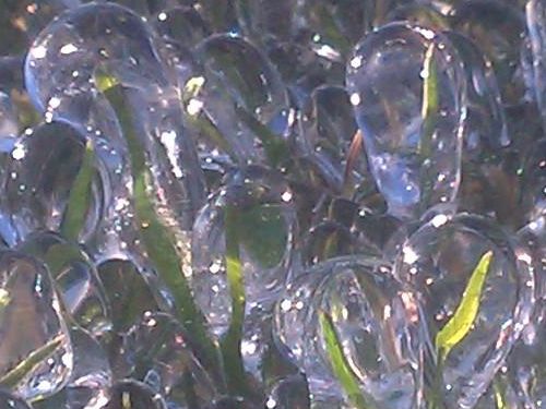 「真冬の夜にスプリンクラーを切り忘れると」03