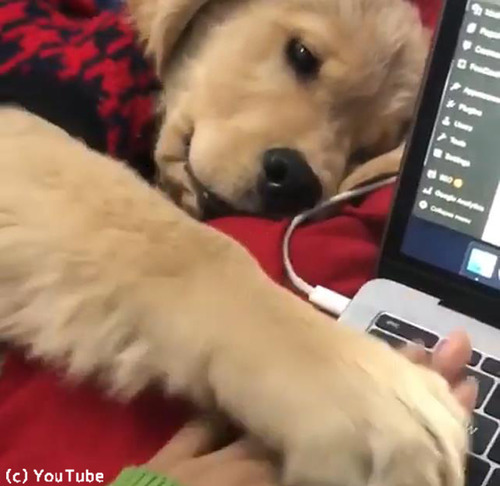 �����礵��˻Ż��򤵤������ʤ���ȥ�С��λҸ�03