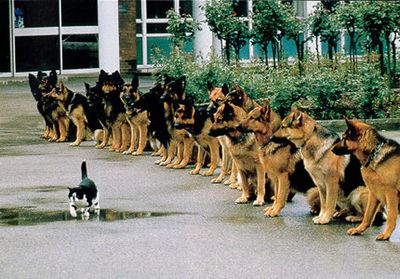 動物の行列07
