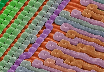 �ŻҸ�����������02