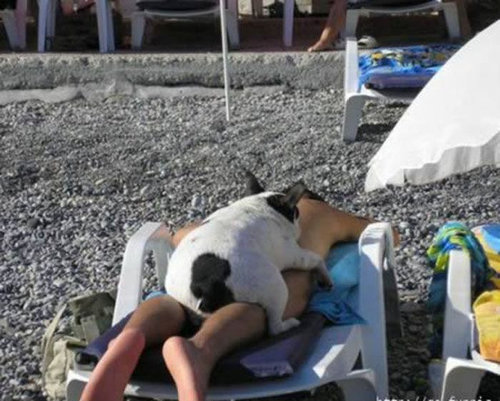 ���βƤ�ä�̵��17