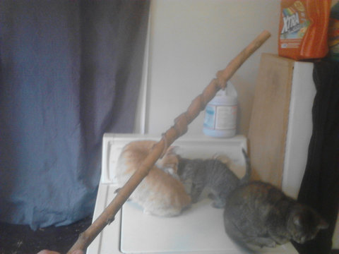 カッコいいけど役に立たない02