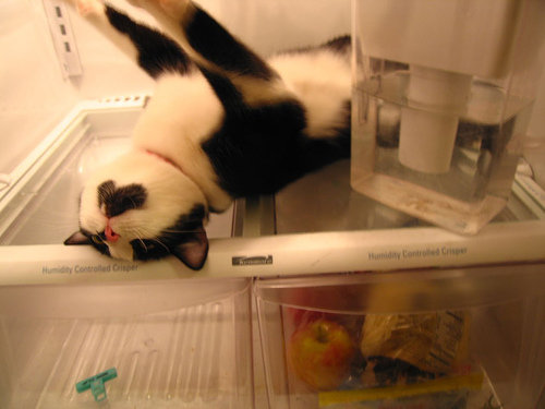 ���å����ǭ06