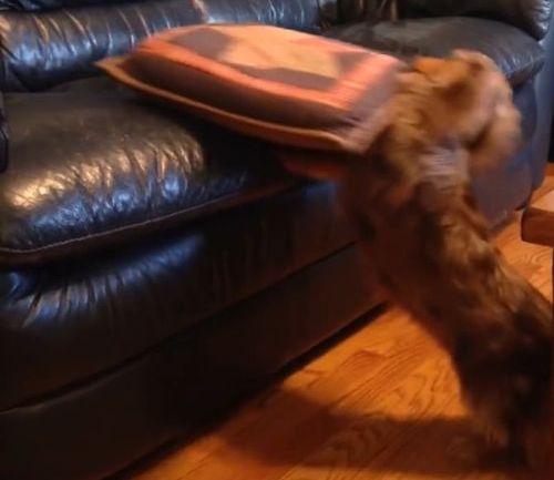 ���å����ե�ɤ�������Τ�����03