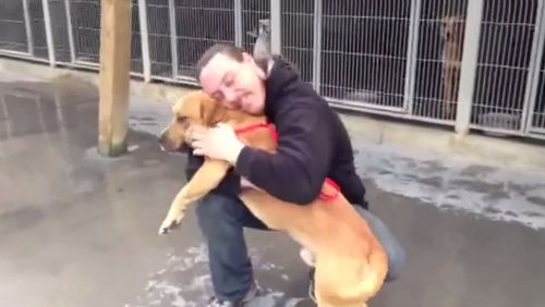 保護センターの前で泣く男性03