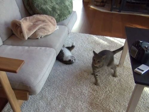 �ĸ������臘ǭ01