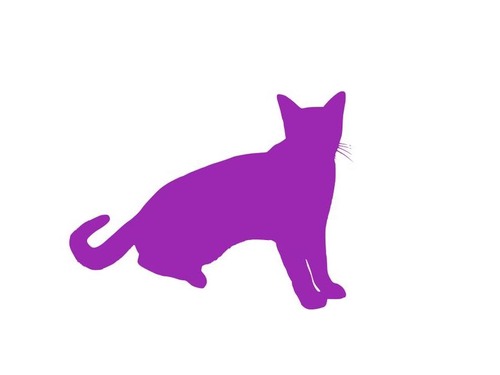 小さな猫とライオンや虎は 伸び をしたときに違いはあるの 写真を並べてみた マピオンニュース