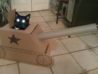 猫に戦車05