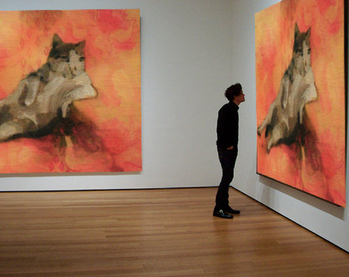 余裕のある猫11