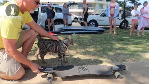 ����������ǭ�����ͥ���Ͽã��01