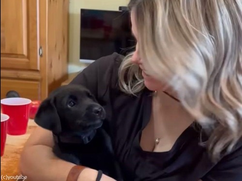 女性のキスを拒絶する子犬