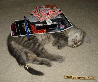 埋没する猫たち01