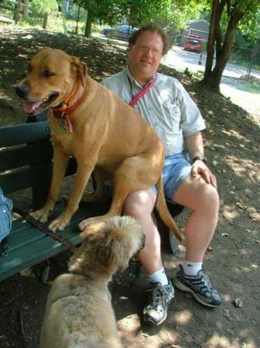犬と仲良し11