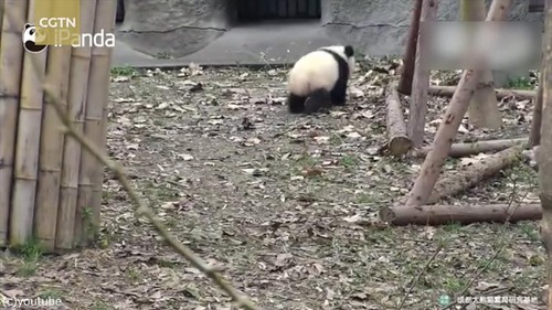 �����������դ���줿�ѥ���Ϥ����ʤ�04