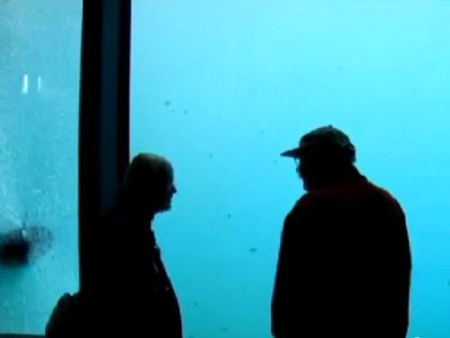 �򥯥ޤ������Ф�Ȥäƥ��饹����04