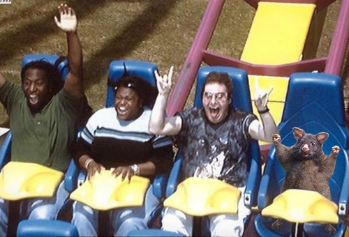 オポッサムのパロディ02