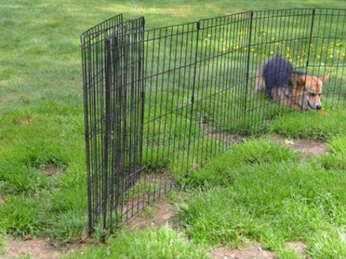 �֤��̡̤ġ�19