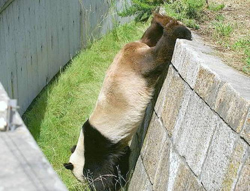 ưʪ�����Τ�����ʤ���13