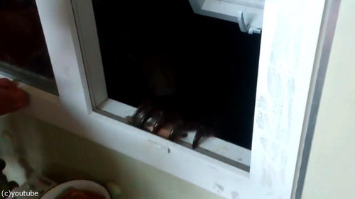 ロシアで夜間に外を出歩いてはいけない理由01