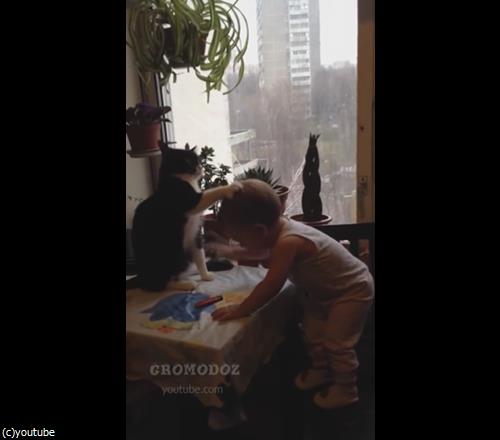 猫パンチ対決05