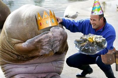 ���줿�顢���ʤ��ʤäƤ���뤫��02