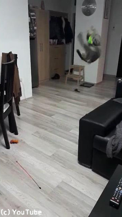 ����å��ܡ������ǭ03