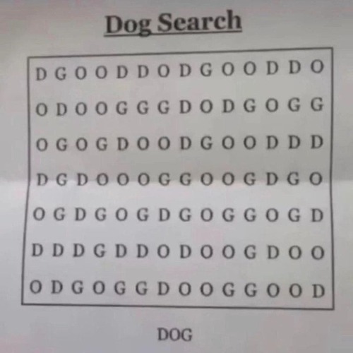 意外にワードサーチでDOGが難しかった07