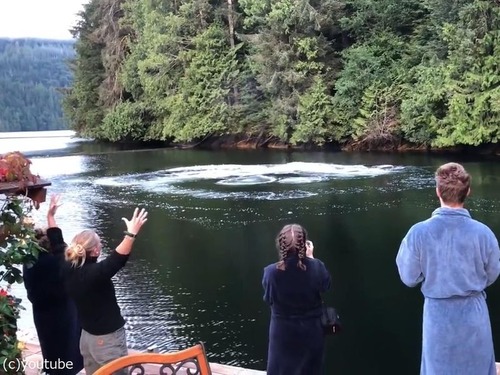 ロッジの前にクジラが姿を現す03