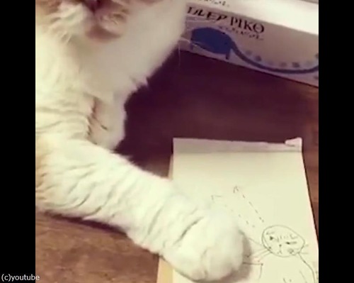 似顔絵を描こうと思ったら04