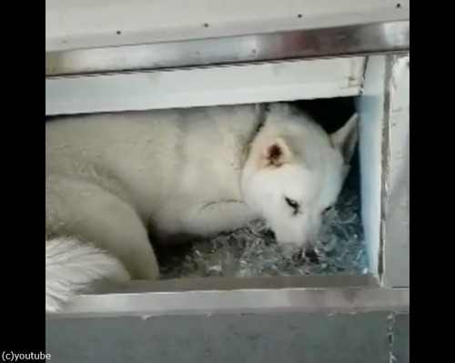 ����ˤ��鲿���ФƤ�03