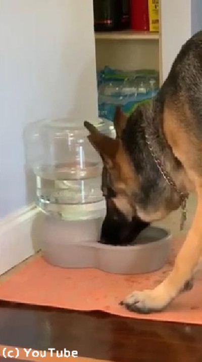 ���󥯤�ˢ�ˤӤä��ꤹ�륷���ѡ��ɤ����襤��02