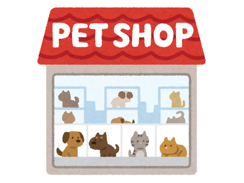 イギリスのペットショップで子犬と子猫の販売禁止