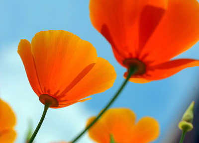 写真テクニック22