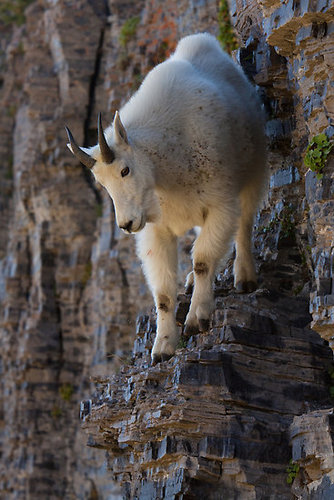 ���ξ�Υ䥮05