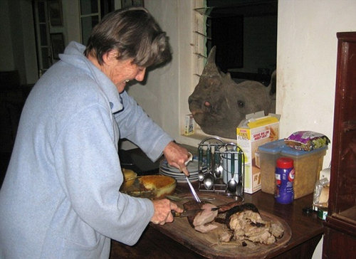 サイを飼う一家03