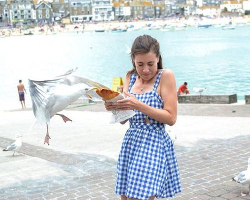 動物と女性たち12