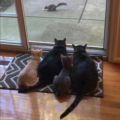 �ꥹ�����ˤʤ�ǭ�ե��ߥ꡼01